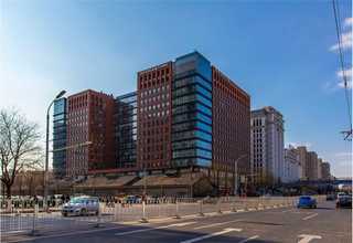 松江区阿尔博52.5白水泥批发